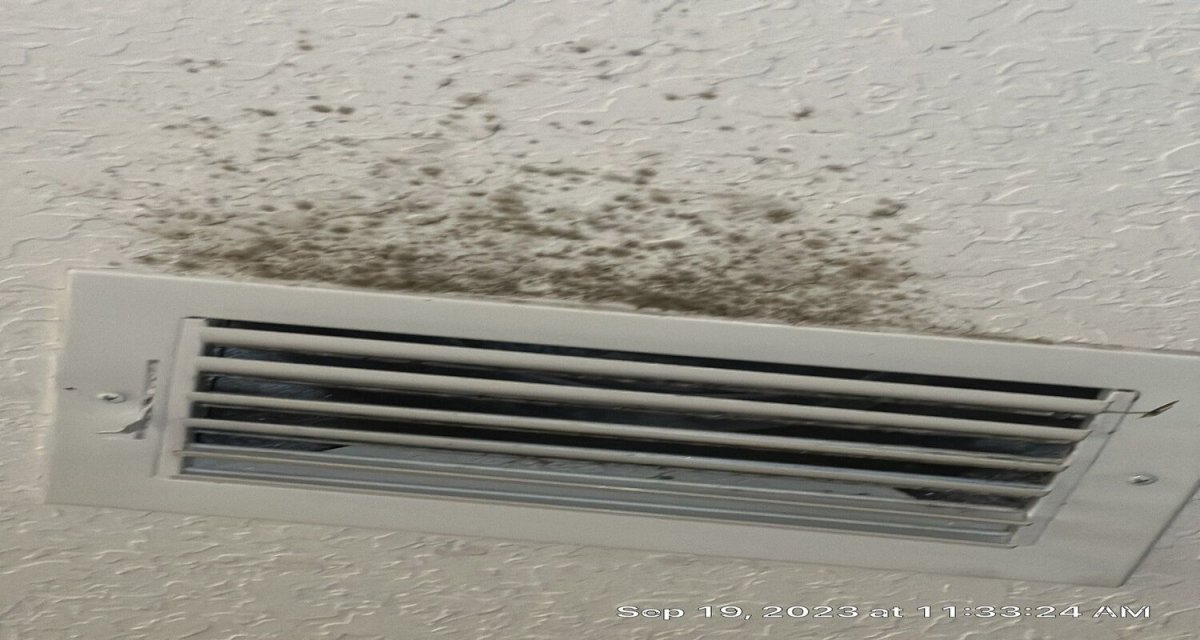 11 Signs It’s Time to Replace Your Air Ducts 
